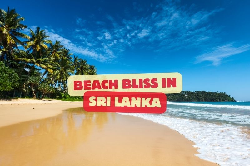 Beach Bliss in Sri Lanka